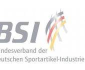 Logo, BSI, Schriftzug