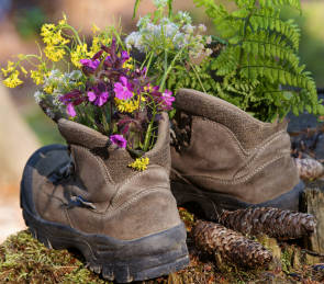 In Bergschuhen wachsen Blumen 