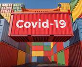 Viele Container, einer mit der Aufschrift Covid-19