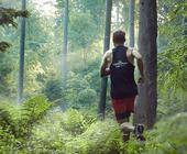 Läufer im Wald