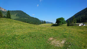 Landschaft mit Wiese 