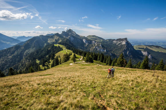 Sommerlandschaft mit grüner Wiese und Bergen 