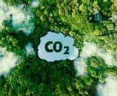 Luftaufnahme eines Waldes in dem ein CO2-Symbol sichtbar ist