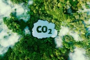 Luftaufnahme eines Waldes in dem ein CO2-Symbol sichtbar ist 