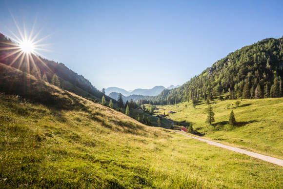 Berglandschaft, Wanderer  