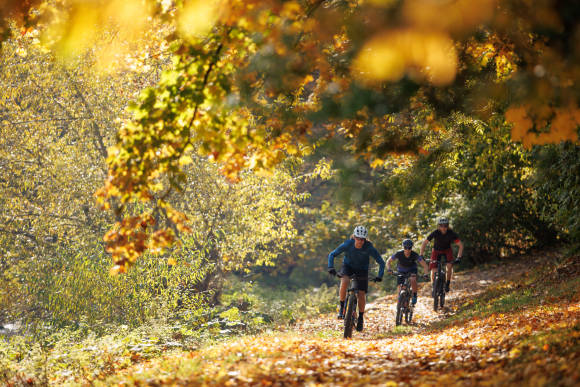 Drei Radfahrer im Wald 