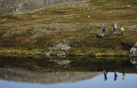 Wanderer am in der Natur  