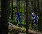 Zwei Jogger im Wald