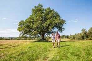 Wanderer in der Natur 