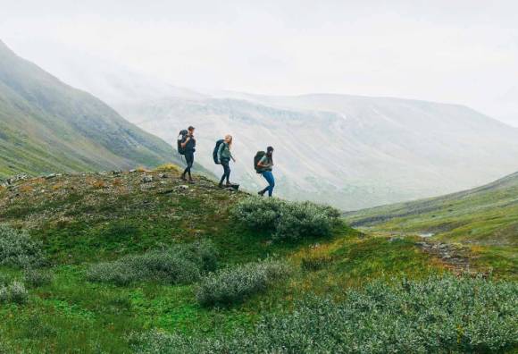 drei Wanderer in der Natur 