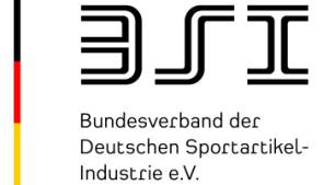 BSI Logo 