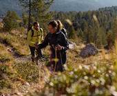 Frau wandert in grüner Landschaft