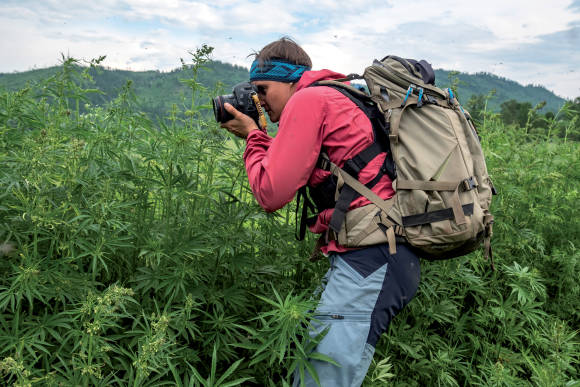 Fotografin in einem Hanffeld 