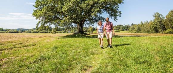 Wanderer in der Natur 