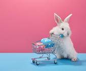 weißer Hase mit Einkaufswagen mit Eiern