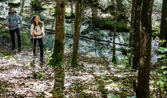 Wanderer im Wald 