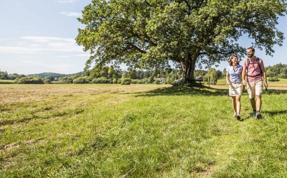 Wanderer im Feld 