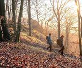 Menschen im Wald