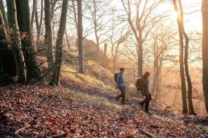 Menschen im Wald 