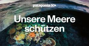 Meerespflanzen und Wellen, Patagonia-Logo 