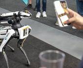 Boston Dynamics