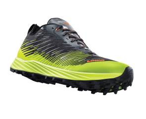 Lowa Schuh