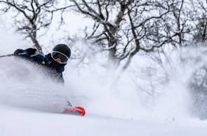 Skifahrer  