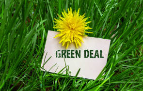 grünes Gras mit Butterblume und Schriftzug Green Deal 