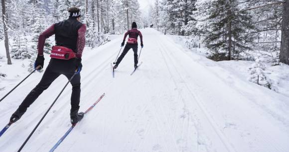 zwei Langläufer in verschneiter Winterlandschaft 