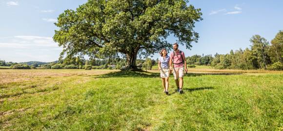 Paar beim Wandern in grüner Natur 