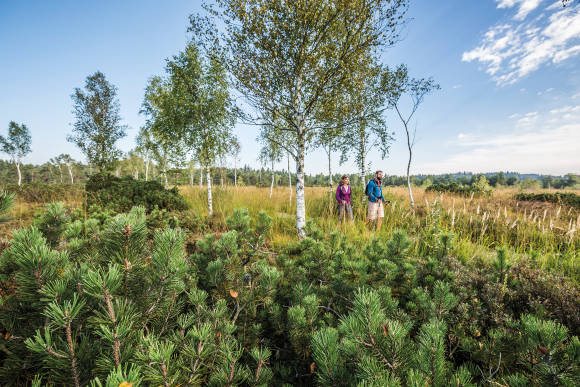 Chiemgau Tourismus