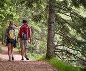 Zwei Personen beim Wandern.