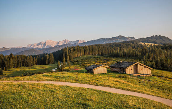 Berglandschaft mit Wiese im Vordergund und Bergpanorama im Hintergrund