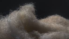 Mit dem Altag Fibre Club sollen Fasern aus landwirtschaftlichen Abfällen schneller zur Marktreife gebracht werden. 