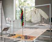 Ergebnisse aus dem Projekt „GXY“ zählen zu den Ausstellungsobjekten in Nürnberg. Dabei geht es um biotechnologisch hergestellte Kollagenmaterialien, die künftig fossile elastische Fasern wie Elastan ersetzen könnten.