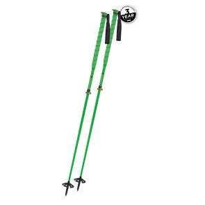 BIG ART CARBON VARIO TEAM